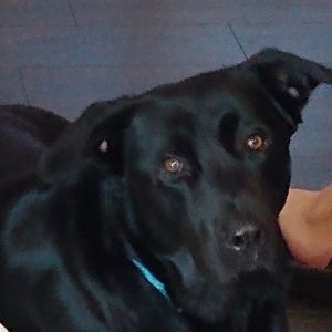 Meet your Posher, Lynn